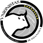 Team logo