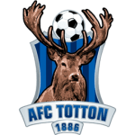 Team logo
