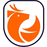 Chilean Primera División